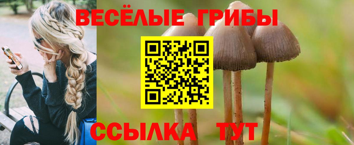 Псилоцибиновые грибы Psilocybe  Галлюциногенные грибы MAGIC MUSHROOMS  Стрежевой  Вход с VPN 